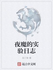 夜魔的实验日志