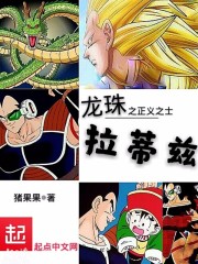 龙珠之正义之士拉蒂兹