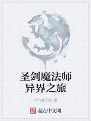 圣剑魔法师异界之旅