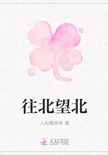 往北望北