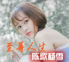 陈歌杨雪