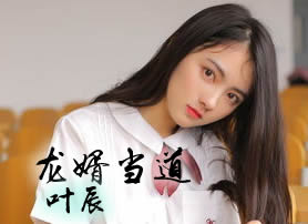 龙婿当道叶辰