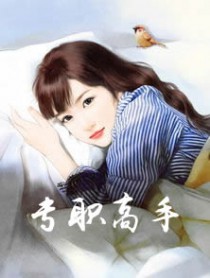 专职高手