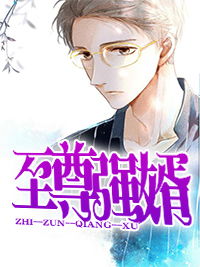 至尊强婿周天