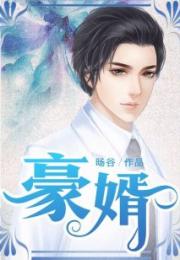 豪婿