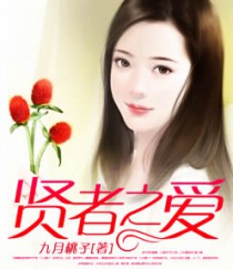 贤者之爱