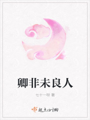 卿非未良人