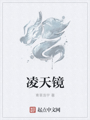 凌天镜