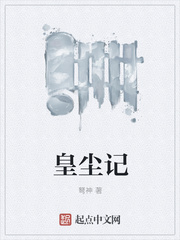 皇尘记