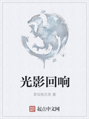 光影回响