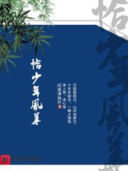 恰少年风华