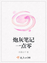 炮灰笔记一点零