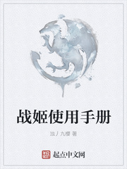 战姬使用手册