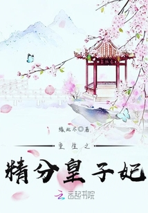 重生之精分皇子妃