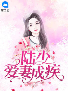 陆少爱妻成疾糖宝