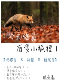 冷面总裁有只小狐狸