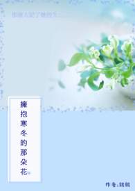 拥抱寒冬的那朵花