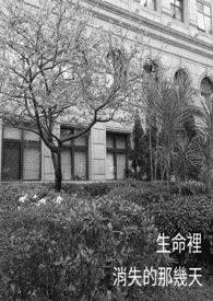 生命里消失的那几天