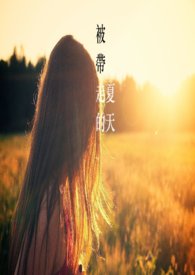 被带走的夏天