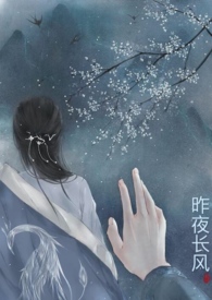 昨夜长风