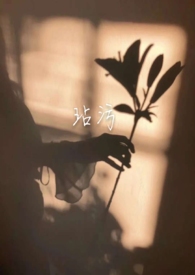 玷污