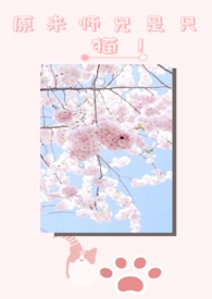 原来师兄是只猫（1V1）