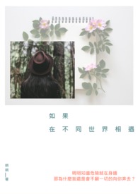 如果在不同世界相遇