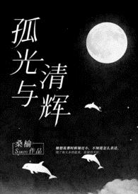 孤光与清辉[1v1]