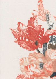 《带着一点光》
