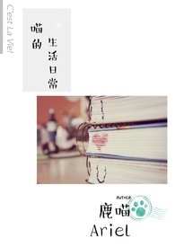 喵的生活日常