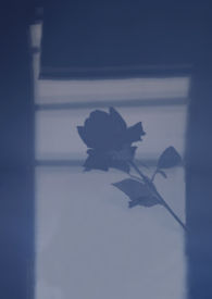 要一个黄昏