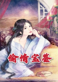 偷情宝鉴（h）