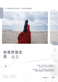 你曾停留在我心上