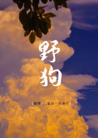 野狗（高H）