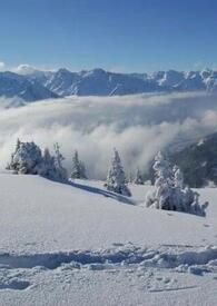 雪山之巅(博肖文)