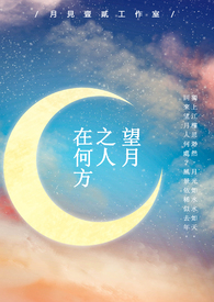 《望月之人在何方》