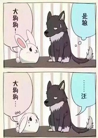 小白兔受难记（1V1，HHH，校园）