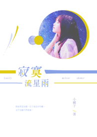 寂寞流星雨