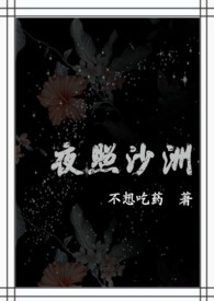 夜照沙洲