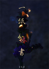 一纸分/婚书