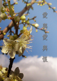 爱与爱与恨