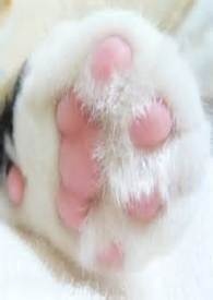 被雨淋的男人
