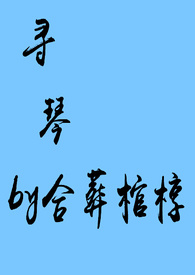 寻琴(古风NP)