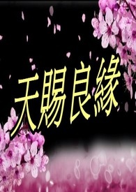 天赐良缘