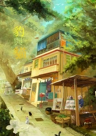 豹与猫