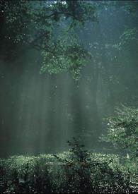 【雷家】 各种试阅
