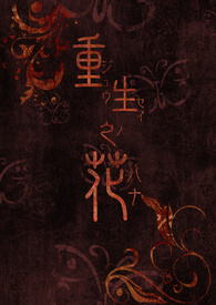 重生之华