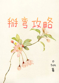 掰弯攻略（简）