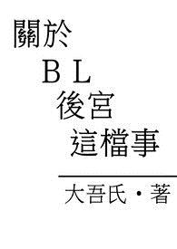 关於ＢＬ後宫这档事